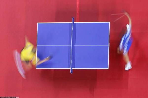 东丽体育培训场馆扶持政策解读(图1)